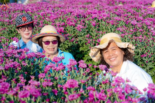 ภาพ No.186294:จิตอาสาอนุรักษ์สิ่งแวดล้อม รับบุญเก็บดอกเบญจทรัพย์ เพื่องานต้อนรับพระธรรมยาตรา ณ "ทุ่งสวรรค์ ตะวันฉาย" วัดพระธรรมกาบ วันที่ 22 ธันวาคม พ.ศ. 2567