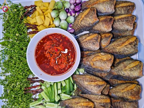 ภาพ No.108453:ถวายภัตตาหารเป็นสังฆทาน แด่คณะพระธรรมยาตราฯ ในโครงการธรรมยาตรากตัญญูบูชา มหาปูชนียาจารย์ พระมงคลเทพมุนี(สด จนฺทสโร) พระผู้ปราบมาร อนุสรณ์สถาน 7 แห่ง ปีที่ 12 วันที่ 7 มกราคม พ.ศ. 2567 ณ อนุสรณ์สถานโลตัสแลนด์ จ.สุพรรณบุรี