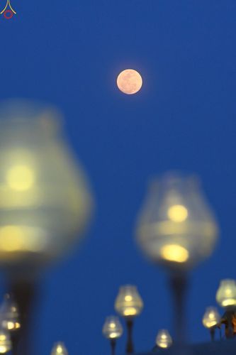 ภาพ No.223962:วันวิสาขบูชา วันอาทิตย์ที่ 11 พฤษภาคม พ.ศ. 2568 พิธีจุดวิสาขประทีป ,  พิธีเวียนประทักษิณรอบพระมหาธรรมกายเจดีย์ , พิธีฉลองชัยสวดมนต์บทธัมมจักกัปปวัตตนสูตร ครบ 7,357,000,000 จบ ณ มหารัตนวิหารคด วัดพระธรรมกาย