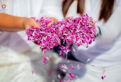 ภาพ No.193258:พิธีต้อนรับพระธรรมยาตรา ณ อนุสรณ์สถาน สถานที่เกิดในเพศสมณะ วัดสองพี่น้อง อำเภอสองพี่น้อง จังหวัดสุพรรณบุรี ในโครงการธรรมยาตรา กตัญญูบูชา มหาปูชนียาจารย์ พระมงคลเทพมุนี(สด จนฺทสโร) พระผู้ปราบมาร อนุสรณ์สถาน 7 แห่ง ปีที่ 13 วันที่ 11 มกราคม พ.ศ. 2568