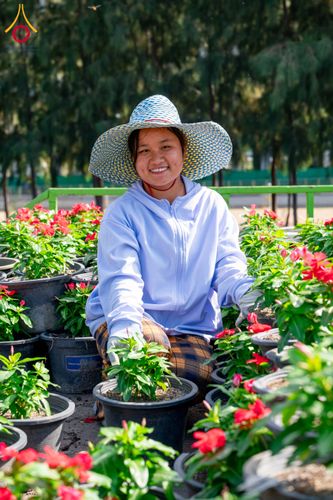 ภาพ No.285321:วันพุธที่ 10 ธันวาคม พ.ศ.2568  การเตรียมความพร้อมในโครงการธรรมยาตรา กตัญญูบูชา มหาปูชนียาจารย์ พระมงคลเทพมุนี(สด จนฺทสโร) พระผู้ปราบมาร อนุสรณ์สถาน 7 แห่ง ปีที่ 14 เก็บดอกเบญจทรัพย์ ณ วัดพระธรรมกาย