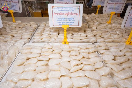 ภาพ No.305377:วันที่ 29 มกราคม พ.ศ. 2569 พิธีถวายภัตตาหารเป็นสังฆทาน แด่พระธรรมยาตรา ณ วัดพระธรรมกาย  จังหวัดปทุมธานี ในโครงการธรรมยาตรา กตัญญูบูชา มหาปูชนียาจารย์ พระมงคลเทพมุนี(สด จนฺทสโร) พระผู้ปราบมาร อนุสรณ์สถาน 7 แห่ง ปีที่ 14