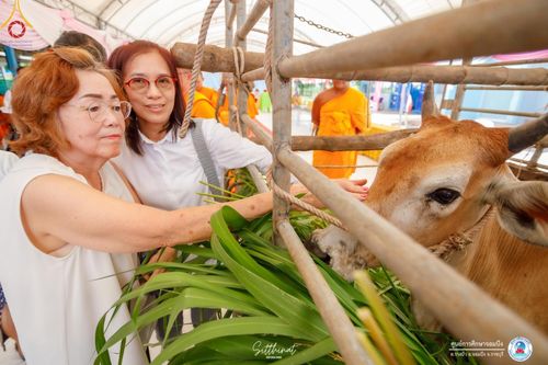 ภาพ No.161182:พิธีถวายมหาสังฆทาน 31 วัด , พิธีบุพเปตพลี , พิธีไถ่ชีวิตโค และ ปล่อยพันธ์ุปลาจำนวน 50,000 ชีวิต ณ ศูนย์การศึกษาจอมบึง ต.รางบัว อ.จอมบึง จ.ราชบุรี วันที่ 28 กันยายน พ.ศ. 2567