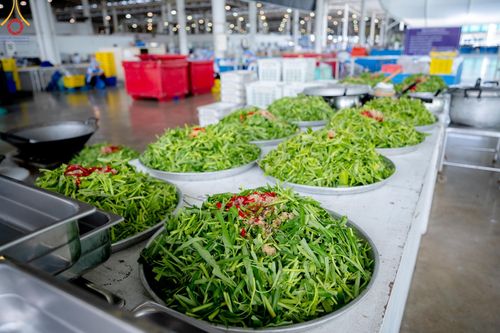 ภาพ No.159276:พิธีบูชาข้าวพระ ในวันอาทิตย์ต้นเดือน วันที่ 6 ตุลาคม พ.ศ. 2567 ณ สภาธรรมกายสากล วัดพระธรรมกาย