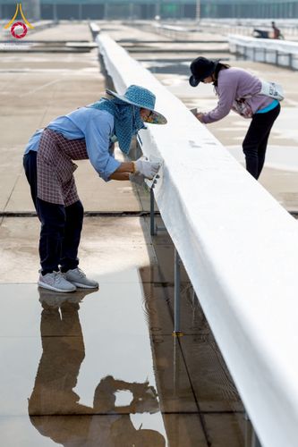 ภาพ No.217714:วันที่ 10-14 เมษายน พ.ศ. 2568 เจ้าหน้าที่อาสาสมัคร เตรียมงานวันคุ้มครองโลก ชุดที่ 2 วัดพระธรรมกาย จ.ปทุมธานี