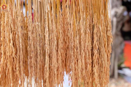 ภาพ No.163632:โครงการกฐินสามัคคีทั่วไทย 30,000 วัด บูชาธรรม 80 ปี หลวงพ่อธัมมชโย โดย คณะศิษยานุศิษย์วัดพระธรรมกาย ณ วัดปิ่นแก้ว จ.พระนครศรีอยธยา วันที่ 20 ตุลาคม พ.ศ. 2567