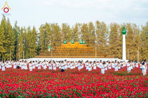 ภาพ No.185443:กิจกรรมเก็บดอกแพงรวย วันอาทิตย์ที่ 22 ธันวาคม พ.ศ. 2567 ณ ทุ่งสวรรค์ ตะวันฉาย วัดพระธรรมกาย