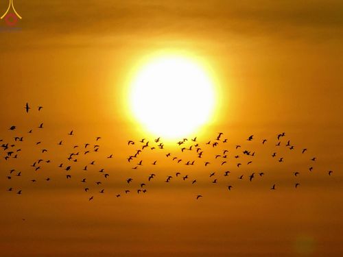 ภาพ No.194805:พิธีจุดประทีปถวายเป็นพุทธบูชา และบูชาธรรมมหาปูชนียาจารย์ ณ วัดสองพี่น้อง ต.ต้นตาล อ.สองพี่น้อง จ.สุพรรณบุรี ในโครงการธรรมยาตรา กตัญญูบูชา มหาปูชนียาจารย์ พระมงคลเทพมุนี(สด จนฺทสโร) พระผู้ปราบมาร อนุสรณ์สถาน 7 แห่ง ปีที่ 13 วันที่ 14 มกราคม พ.ศ. 2568