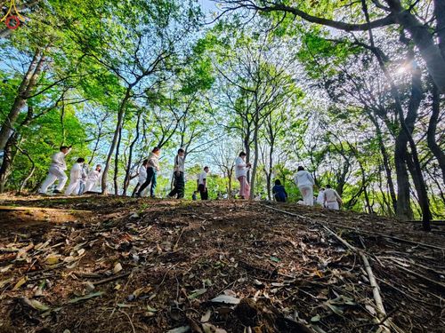 ภาพ No.136463:คณะพระภิกษุสงฆ์และกัลยาณมิตรชาวสิงคโปร์ เดินทางมาปฏิบัติธรรม ณ วัดป่าธรรมกายนานาชาติโทชิหงิ ประเทศญี่ปุ่น ระหว่างวันที่ 27 เมษายน  - 2 พฤษภาคม พ.ศ. 2567