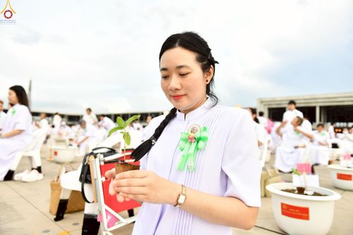 ภาพ No.252880:วันที่ 10 ตุลาคม พ.ศ. 2568 พิธีปลูกต้นทรัพย์บานชื่น ณ ลานธรรม วัดพระธรรมกาย