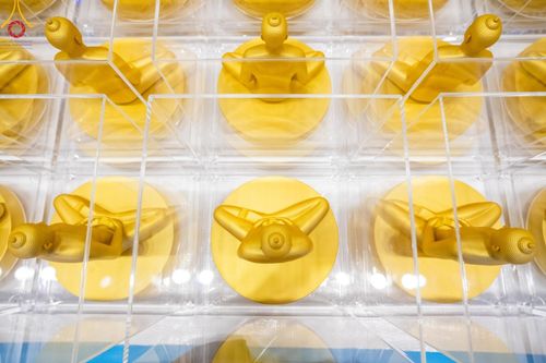 ภาพ No.159454:สัมมนาพิเศษและพิธีมอบองค์พระธรรมกาย 2,000 องค์ ณ ห้องแก้วสารพัดนึก 1 วัดพระธรรมกาย วันอาทิตย์ต้นเดือนที่ 6 ตุลาคม พ.ศ. 2567