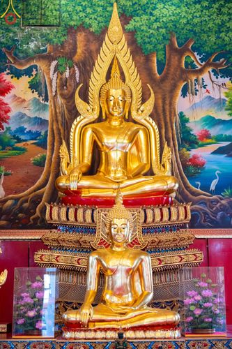 ภาพ No.94231:พิธีทอดกฐินสามัคคีทั่วไทย 5,000 วัด ณ วัดกล้าชอุ่ม จ.ปทุมธานี วันที่ 12 พฤศจิกายน พ.ศ. 2566