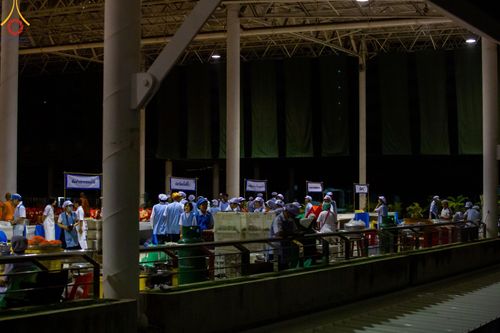 ภาพ No.58769:V.40 ภัตตาหารพระหมื่นวัด เราจัดให้ การปฏิบัติงานของเจ้าหน้าที่และอาสาสมัคร เพื่อรับบุญในการถวายภัตตาหาร แด่คณะสงฆ์ 10,000 กว่าวัดทั่วประเทศ ที่มาร่วมงานวันคุ้มครองโลก จันทร์ที่ 22 เมษายน พ.ศ. 2567 ณ วัดพระธรรมกาย