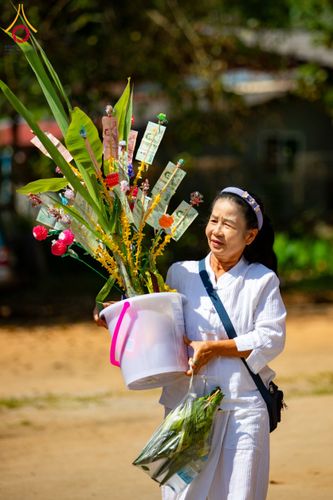 ภาพ No.173348:พิธีทอดกฐิน วัดทาป่าสัก จ.ลำพูน ในโครงการกฐินสามัคคีทั่วไทย 30,000 วัด บูชาธรรม 80 ปี หลวงพ่อธัมมชโย โดยคณะศิษยานุศิษย์วัดพระธรรมกาย วันที่ 3 พฤศจิกายน พ.ศ. 2567