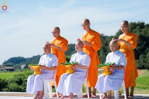 ภาพ No.148239:พิธีปฐมอุปสมบท สมโภชอุโบสถ บูชาธรรม 80 ปี หลวงพ่อธัมมชโย  วันอาทิตย์ที่ 11 สิงหาคม พ.ศ. 2567 วัดพระธรรมกายโทชิหงิ ประเทศญี่ปุ่น