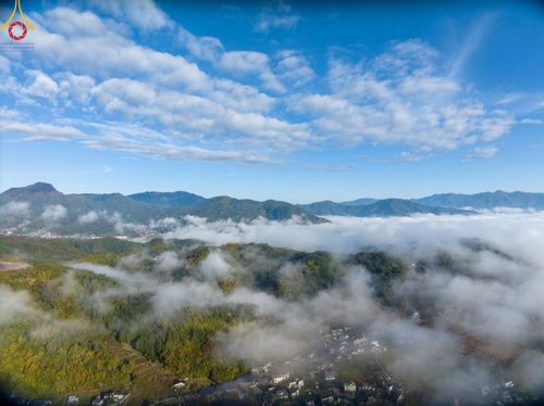 ภาพ No.184509:ปฐมกฐิน วัดพระธรรมกายนางาโน่ ประเทศญี่ปุ่น สร้างห้องครัวมหาทานบารมีและหอฉัน บูชาธรรม 80 ปีหลวงพ่อธัมมชโย วันที่ 13 พฤศจิกายน พ.ศ. 2567