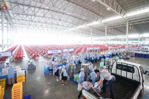 ภาพ No.60164:คณะสงฆ์ 10,000 กว่าวัดฉันภัตตาหารเพล ในวันคุ้มครองโลก วันจันทร์ที่ 22 เมษายน พ.ศ. 2567 ณ สภาธรรมกายสากล วัดพระธรรมกาย