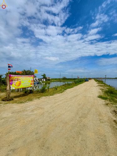 ภาพ No.265691:วันที่ 25 ตุลาคม พ.ศ. 2568 พิธีทอดกฐินสามัคคีทั่วไทย ณ สำนักปฏิบัติธรรมนาคะนิโครธาราม อ.บางบ่อ จ.สมุทรปราการ โดยคณะศิษยานุศิษย์ บูชาธรรม 81 ปี หลวงพ่อธัมมชโย