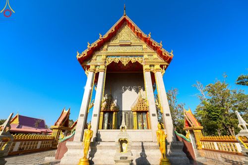 ภาพ No.195711:พิธีทอดผ้าป่าทำนุบำรุงศาสนสถาน ณ วัดตรีพาราสีมาเขต ต.สามเมือง อ.ลาดบัวหลวง จ.พระนครศรีอยุธยา ในโครงการธรรมยาตรา กตัญญูบูชา มหาปูชนียาจารย์ พระมงคลเทพมุนี(สด จนฺทสโร) พระผู้ปราบมาร อนุสรณ์สถาน 7 แห่ง ปีที่ 13 วันที่ 13 มกราคม พ.ศ. 2568