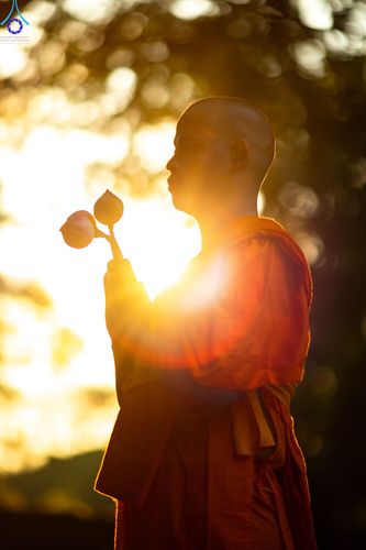 ภาพ No.101574:พิธีบรรพชาธรรมทายาท ในโครงการอุปสมบทบูชาธรรม มหาปูชนียาจารย์ พ.ศ. 2566 ณ วัดพระเจ้าตนหลวง อ.บ้านโฮ่ง จ.ลำพูน วันที่ 8 ธันวาคม พ.ศ. 2566
