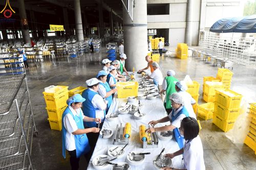 ภาพ No.218407:วันที่ 15 - 18 เมษายน พ.ศ. 2568 การเตรียมภาชนะสำหรับถวายภัตตาหาร , การจัดโต๊ะเก้าอี้ในลานธรรม , การแพ็คพัสดุงานต้อนรับ เพื่องานวันคุ้มครองโลก 22 เมษายน พ.ศ.2568 วัดพระธรรมกาย