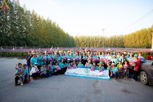 จิตอาสาอนุรักษ์สิ่งแวดล้อม รับบุญเก็บดอกเบญจทรัพย์ เพื่องานต้อนรับพระธรรมยาตรา ณ "ทุ่งสวรรค์ ตะวันฉาย" วัดพระธรรมกาบ วันที่ 22 ธันวาคม พ.ศ. 2567