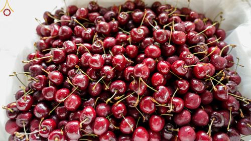 ภาพ No.72213:พิธีถวายภัตตาหารเป็นสังฆทาน แด่คณะพระธรรมยาตราฯ ในโครงการธรรมยาตรากตัญญูบูชา มหาปูชนียาจารย์ พระมงคลเทพมุนี(สด จนฺทสโร) พระผู้ปราบมาร อนุสรณ์สถาน 7 แห่ง ปีที่ 11 วันที่ 18 มกราคม พ.ศ. 2566