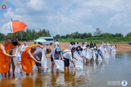 ภาพ No.161198:พิธีถวายมหาสังฆทาน 31 วัด , พิธีบุพเปตพลี , พิธีไถ่ชีวิตโค และ ปล่อยพันธ์ุปลาจำนวน 50,000 ชีวิต ณ ศูนย์การศึกษาจอมบึง ต.รางบัว อ.จอมบึง จ.ราชบุรี วันที่ 28 กันยายน พ.ศ. 2567