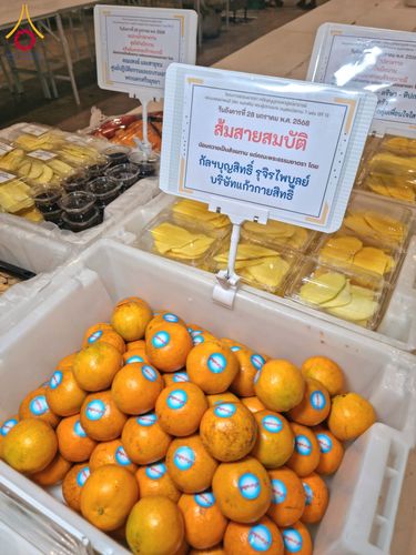 ภาพ No.202821:พิธีถวายภัตตาหารเป็นสังฆทาน แด่พระธรรมยาตรา ณ วัดพระธรรมกาย ตำบลคลองสาม อำเภอคลองหลวง จังหวัดปทุมธานี ในโครงการธรรมยาตรา กตัญญูบูชา มหาปูชนียาจารย์ พระมงคลเทพมุนี(สด จนฺทสโร) พระผู้ปราบมาร อนุสรณ์สถาน 7 แห่ง ปีที่ 13 วันที่ 28 มกราคม พ.ศ. 2568