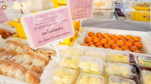 ภาพ No.73815:พิธีถวายภัตตาหารเป็นสังฆทาน แด่คณะพระธรรมยาตราฯ ในโครงการธรรมยาตรากตัญญูบูชา มหาปูชนียาจารย์ พระมงคลเทพมุนี(สด จนฺทสโร) พระผู้ปราบมาร อนุสรณ์สถาน 7 แห่ง ปีที่ 11 วันที่ 22 มกราคม พ.ศ. 2566