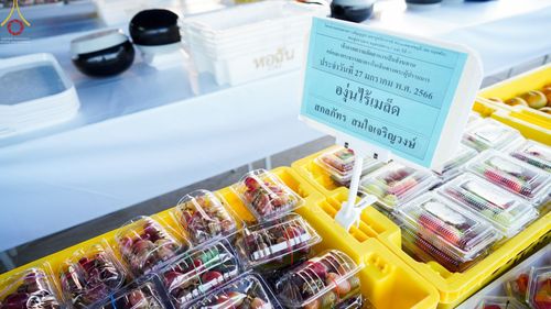 ภาพ No.74558:พิธีถวายภัตตาหารเป็นสังฆทาน แด่คณะพระธรรมยาตราฯ ในโครงการธรรมยาตรากตัญญูบูชา มหาปูชนียาจารย์ พระมงคลเทพมุนี(สด จนฺทสโร) พระผู้ปราบมาร อนุสรณ์สถาน 7 แห่ง ปีที่ 11 วันที่ 27 มกราคม พ.ศ. 2566