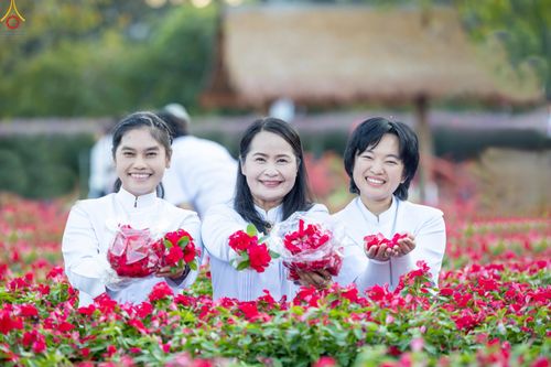 ภาพ No.281043:วันที่ 28 ธันวาคม พ.ศ.2568 กิจกรรมเก็บดอกแพงรวย ณ ทุ่งสวรรค์ตะวันฉาย วัดพระธรรมกาย