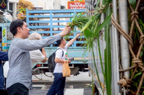 ภาพ No.238229:วันเสาร์ที่ 9 สิงหาคม พ.ศ. 2568 พิธีไถ่ชีวิตโค-โคท้อง 162 ตัว ณ ใจกลางนครหาดใหญ่ จ.สงขลา