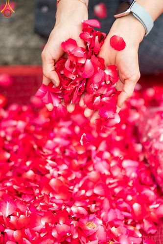 ภาพ No.128257:พิธีอัญเชิญพระบรมสารีริกธาตุ " ใจกลางเมืองนครหาดใหญ่ " เพื่อประดิษฐาน ณ มหารัตนเจดีย์สิริปทุมสวรรค์ (เจดีย์อริยพุทธะ 5 พระองค์) ศูนย์ปฏิบัติธรรมภาคใต้ อ.บางกล่ำ จ.สงขลา  วันที่ 9 มีนาคม พ.ศ.2567 (ชุดที่ 1)