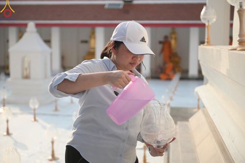 ภาพ No.112512:V.11 สามารถ การเตรียมงาน เก็บงาน การรับบุญของเจ้าหน้าที่หน่วยงานต่างๆ เพื่อโครงการธรรมยาตรา กตัญญูบูชา มหาปูชนียาจารย์ พระมงคลเทพมุนี (สด จนฺทสโร) พระผู้ปราบมาร อนุสรณ์สถาน 7 แห่ง ปีที่ 12 ระหว่างวันที่ 2 - 31 มกราคม พ.ศ.2567