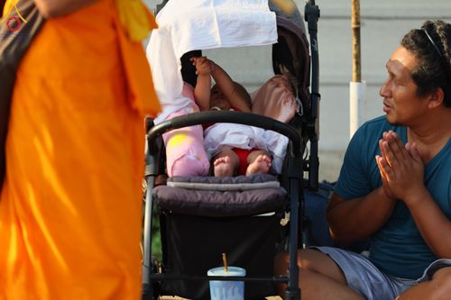 ภาพ No.113175:พิธีต้อนรับพระธรรมยาตรา ปีที่ 12 วันที่ 15 มกราคม พ.ศ. 2567 ณ วัดโบสถ์บน จ.นนทบุรี