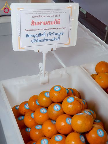 ภาพ No.196985:พิธีถวายภัตตาหารเป็นสังฆทาน แด่พระธรรมยาตรา ณ วัดโบสถ์(บน) ตำบลบางคูเวียง อำเภอบางกรวย จังหวัดนนทบุรี ในโครงการธรรมยาตรา กตัญญูบูชา มหาปูชนียาจารย์ พระมงคลเทพมุนี(สด จนฺทสโร) พระผู้ปราบมาร อนุสรณ์สถาน 7 แห่ง ปีที่ 13 วันที่ 18 มกราคม พ.ศ. 2568