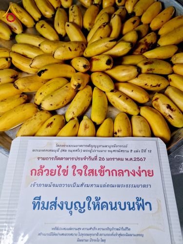 ภาพ No.118937:พิธีถวายภัตตาหารเป็นสังฆทาน แด่คณะพระธรรมยาตรา ปีที่ 12 วันที่ 26 มกราคม พ.ศ. 2567 ณ อนุสรณ์สถานบางปลา จ.นครปฐม