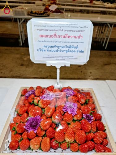 ภาพ No.120677:พิธีถวายภัตตาหารเป็นสังฆทาน แด่คณะพระธรรมยาตรา ปีที่ 12 วันที่ 29 มกราคม พ.ศ. 2567 ณ สภาธรรมกายสากล วัดพระธรรมกาย