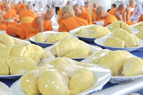 ภาพ No.229747:วันที่ 25 มิถุนายน พ.ศ. 2568 (แรม 15 ค่ำ เดือน 7) พิธีบุพเปตพลี ครั้งที่ 166 ร่วมอุทิศบุญแด่หมู่ญาติที่ล่วงลับไปแล้ว และสืบทอดอายุพระพุทธศาสนา ณ หอฉันคุณยายอาจารย์ฯ วัดพระธรรมกาย