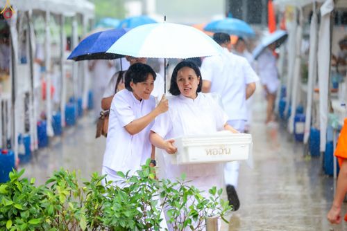 ภาพ No.330851:วันวิสาขบูชา อาทิตย์ที่ 31 พฤษภาคม พ.ศ.2569 พิธีบรรพชาสามเณรอุบาสก 11 ท่าน , พิธีถวายบาตรผ้าไตร และจตุปัจจัยไทยธรรม แด่สามเณร , พิธีอุปสมบทอุทิศชีวิต , พิธีกล่าวคำกัปปิยภัณฑ์  ณ อุโบสถพระไตรปิฎก วัดพระธรรมกาย จังหวัดปทุมธานี