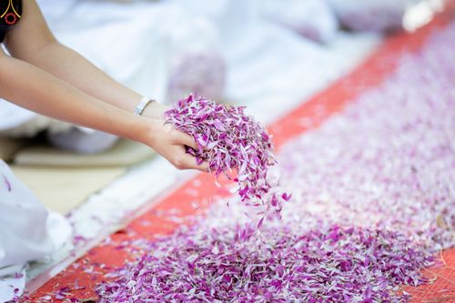 ภาพ No.289617:วันที่ 7 มกราคม พ.ศ. 2569 พิธีต้อนรับพระธรรมยาตรา ณ อนุสรณ์สถานลำดับที่ 2 สถานที่ตั้งมโนปณิธานบวชตลอดชีวิต อนุสรณ์สถานคลองบางนางแท่น อ.สามพราน จ.นครปฐม ในโครงการธรรมยาตรา กตัญญูบูชา มหาปูชนียาจารย์ พระมงคลเทพมุนี(สด จนฺทสโร) พระผู้ปราบมาร อนุสรณ์สถาน 7 แ