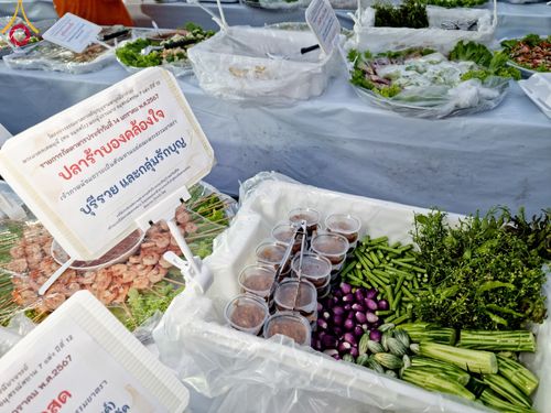 ภาพ No.111927:พิธีถวายภัตตาหารเป็นสังฆทาน แด่คณะพระธรรมยาตราฯ ในโครงการธรรมยาตรา กตัญญูบูชา มหาปูชนียาจารย์ พระมงคลเทพมุนี(สด จนฺทสโร) พระผู้ปราบมาร อนุสรณ์สถาน 7 แห่ง ปีที่ 12 วันที่ 14 มกราคม พ.ศ. 2567 ณ อนุสรณ์สถานมหาวิหารพระมงคลเทพมุนี  (โลตัสแลนด์) อ.สองพี่น้อง จ