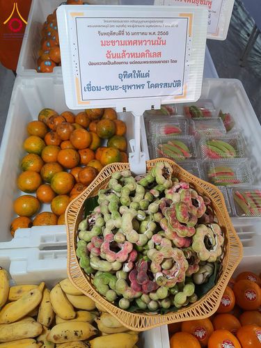 ภาพ No.195957:พิธีถวายภัตตาหารเป็นสังฆทาน แด่พระธรรมยาตรา ณ วัดโบสถ์(บน) ตำบลบางคูเวียง อำเภอบางกรวย จังหวัดนนทบุรี ในโครงการธรรมยาตรา กตัญญูบูชา มหาปูชนียาจารย์ พระมงคลเทพมุนี(สด จนฺทสโร) พระผู้ปราบมาร อนุสรณ์สถาน 7 แห่ง ปีที่ 13 วันที่ 16 มกราคม พ.ศ. 2568