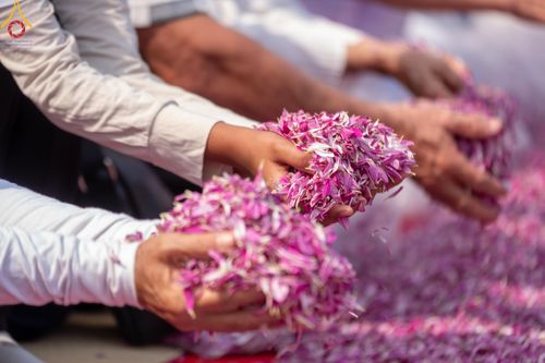 ภาพ No.120093:พิธีต้อนรับพระธรรมยาตรา ในโครงการธรรมยาตรา กตัญญูบูชา มหาปูชนียาจารย์ พระมงคลเทพมุนี(สด จนฺทสโร) พระผู้ปราบมาร อนุสรณ์สถาน 7 แห่ง ปีที่ 12 วันที่ 28 มกราคม พ.ศ. 2567 ณ วัดพระธรรมกาย จ.ปทุมธานี