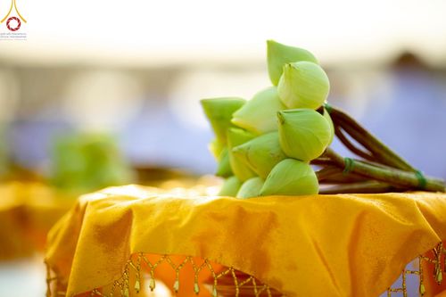 ภาพ No.214959:วันเสาร์ที่ 5 เมษายน พ.ศ. 2568 พิธีเวียนประทักษิณรอบพระมหาธรรมกายเจดีย์  พิธีวันทาเจดีย์ พิธีขอขมาและมอบผ้าไตร ในโครงการบรรพชาสามเณรฟื้นฟูพระพุทธศาสนาทั่วไทย , โครงการหน่อแก้วเปรียญธรรม รุ่นที่ 13 ,  โครงการสามเณรยุวธรรมทายาท รุ่นที่ 33 , โครงการสามเณรมั