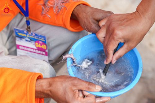 ภาพ No.129719:พิธีตัดปอยผมและแห่นาคธรรมทายาท ในโครงการบรรพชา 1,250 รูป ณ แดนประสูติ สวนลุมพินี ประเทศเนปาล วันที่ 2 มีนาคม พ.ศ. 2567