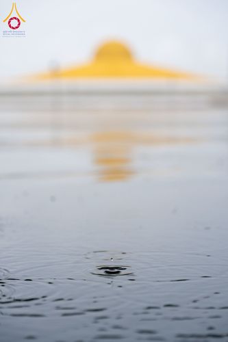 ภาพ No.230727:วันที่ 29 มิถุนายน พ.ศ.2568 พิธีตัดปอยผมและปลงผมนาคธรรมทายาท โครงการบรรพชาอุปสมบทหมู่ รุ่นเข้าพรรษา ณ วิหารคด วัดพระธรรมกาย