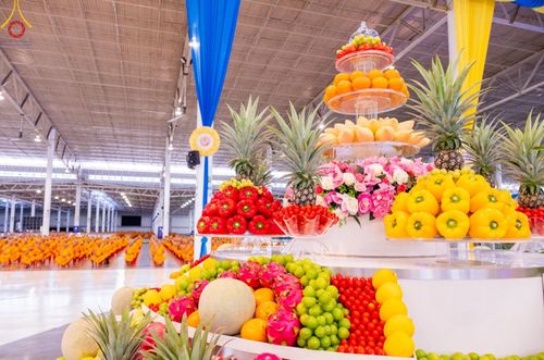 ภาพ No.151171:พิธีบูชาข้าวพระ ในวันอาทิตย์ต้นเดือน วันที่ 1 กันยายน พ.ศ. 2567 ณ สภาธรรมกายสากล วัดพระธรรมกาย