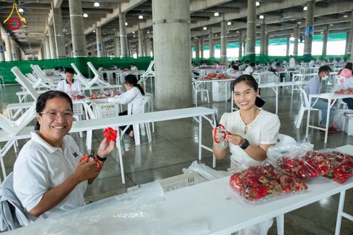 ภาพ No.279444:วันที่ 19-26 ธันวาคม พ.ศ. 2568 และ วันที่ 1 มกราคม พ.ศ.2569 รับบุญปลิดกลีบดอกไม้ เพื่อโปรยต้อนรับพระธรรมยาตรา